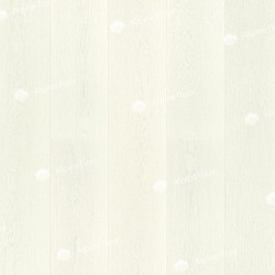 11-21_1_1