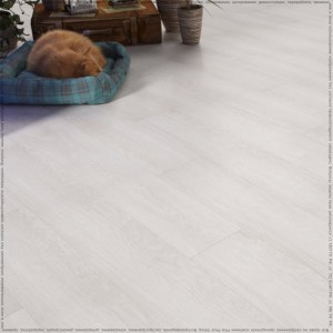 файнфлор FF-1538