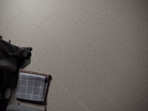 Шато Де Анжони FF-1599