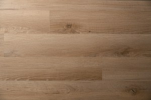 DSC07209