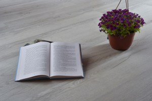 GST_7481