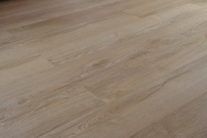 GST_7569