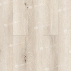 LF101-01-4