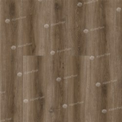 Ламинат Alpine Floor LF101-14 Дуб Болонья Intensity в Минске