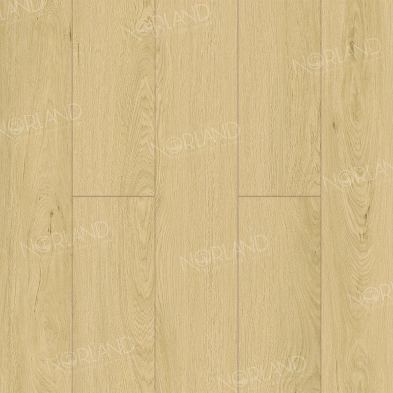 Ламинат Norland - LF301-05 Дуб Азор Elegant