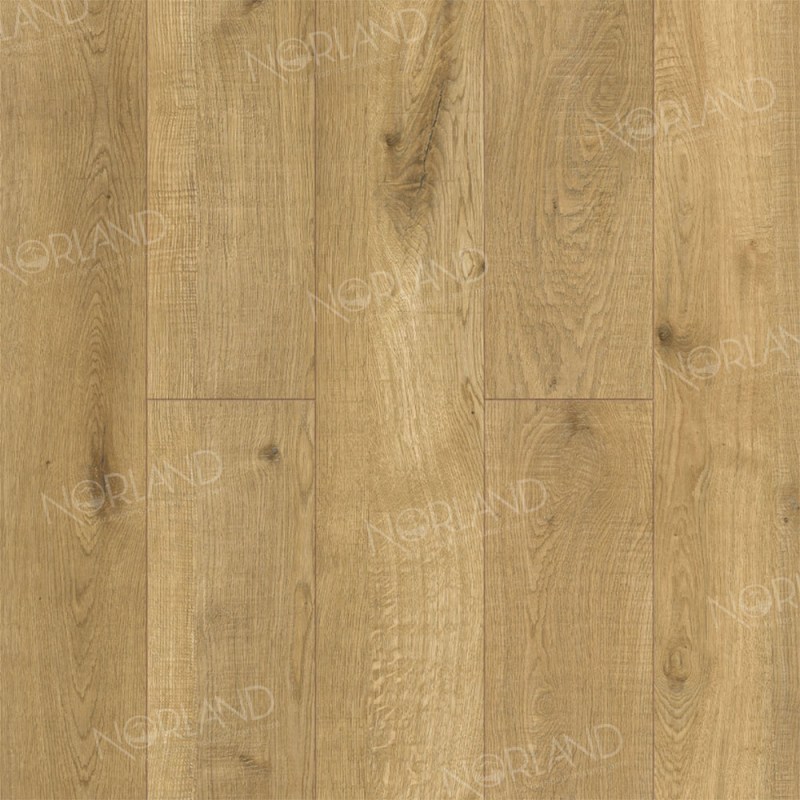 Ламинат Norland - LF302-09 Дуб Хайнан Elegant Strong купить