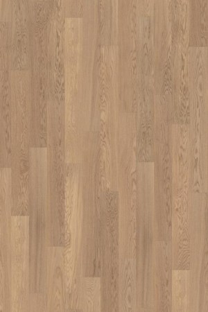 OAK_STORY_138_TENDER_WHITE_5842