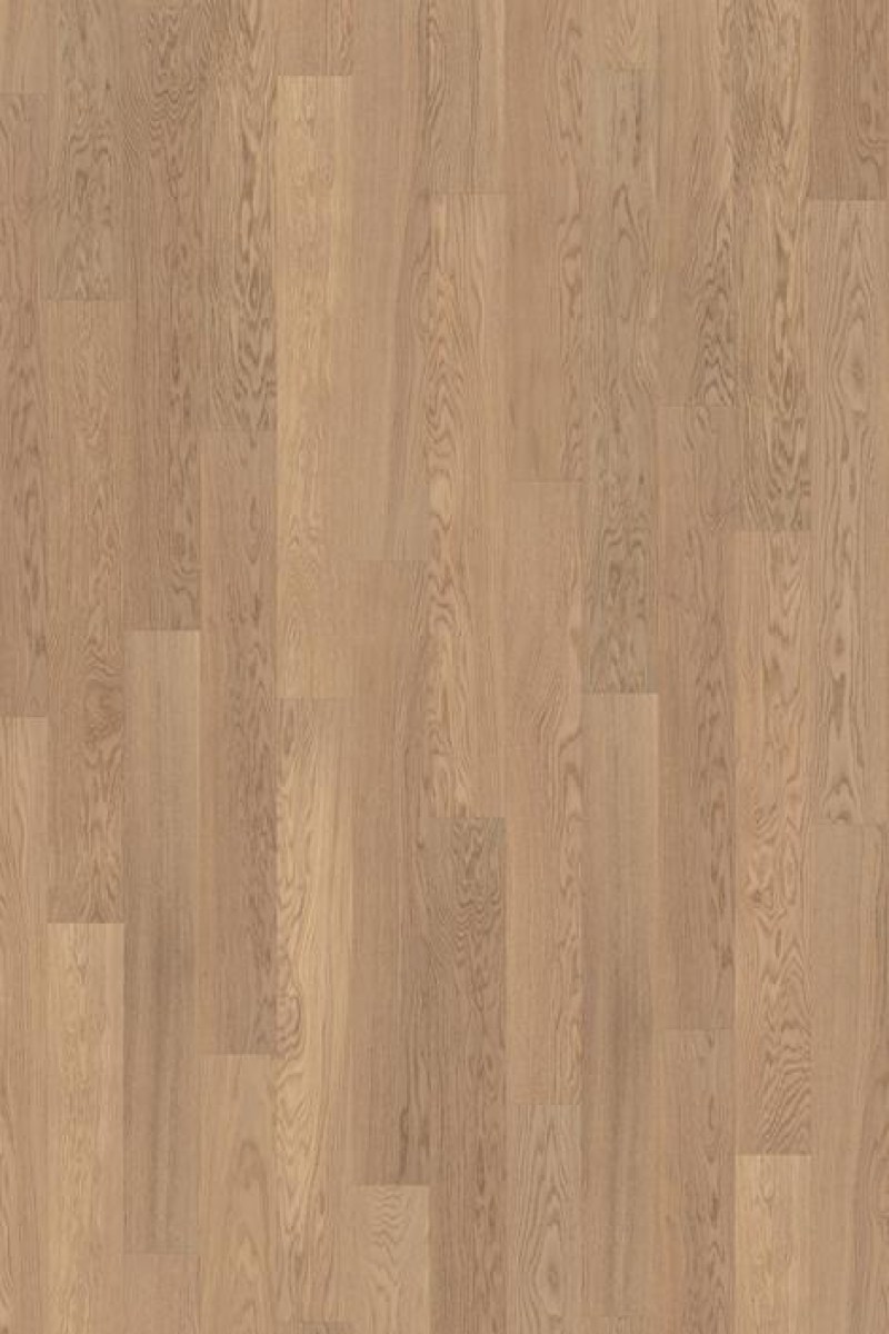 OAK_STORY_138_TENDER_WHITE_5842