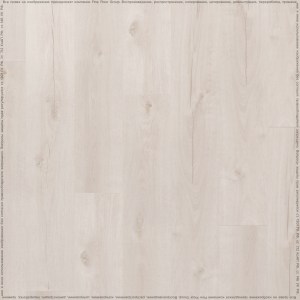 adelar_eterna_05108_2