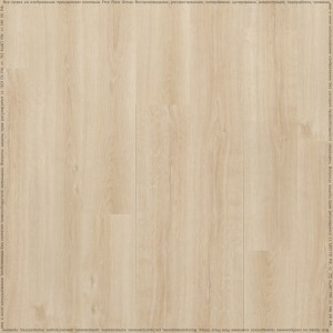 adelar_eterna_05225_2
