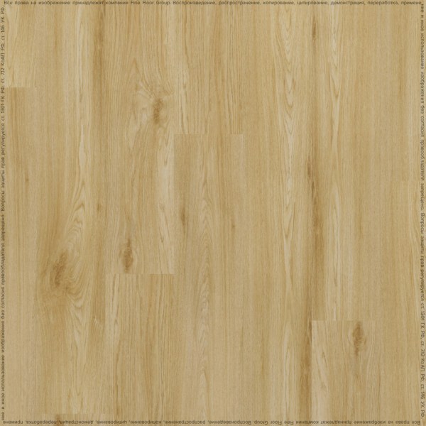 adelar_eterna_05321_2