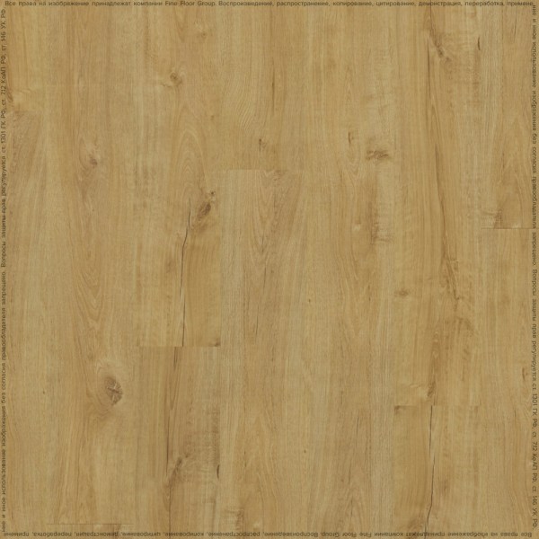 adelar_eterna_05325_2