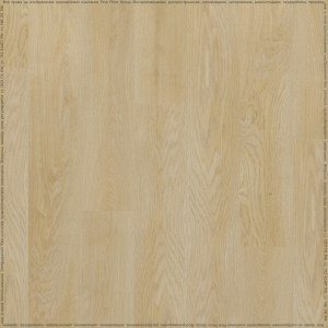 adelar_eterna_05333_2