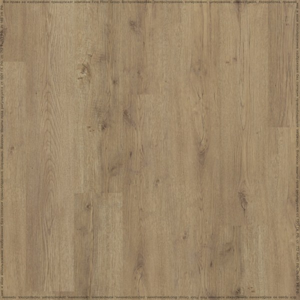 adelar_eterna_05829_2