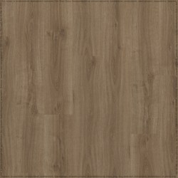 adelar_eterna_05859_2