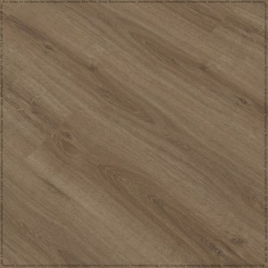 adelar_eterna_05859_3