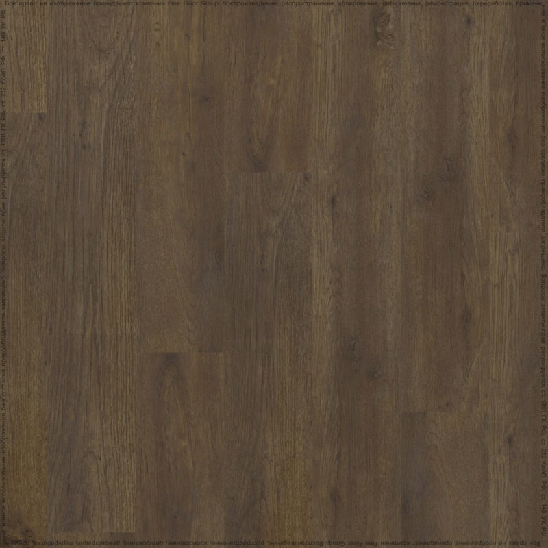 adelar_eterna_05871_2