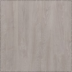 adelar_eterna_05906_2