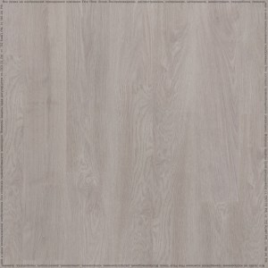 adelar_eterna_05906_2