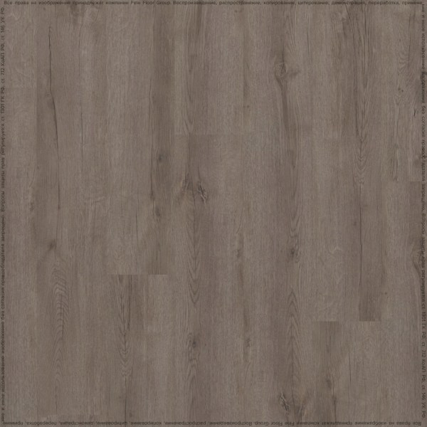 adelar_eterna_05929_2