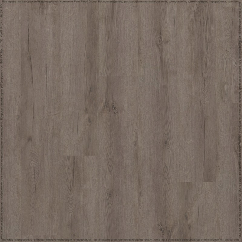 adelar_eterna_05929_2