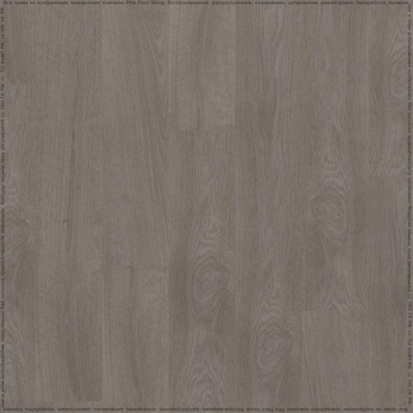 adelar_eterna_05933_2