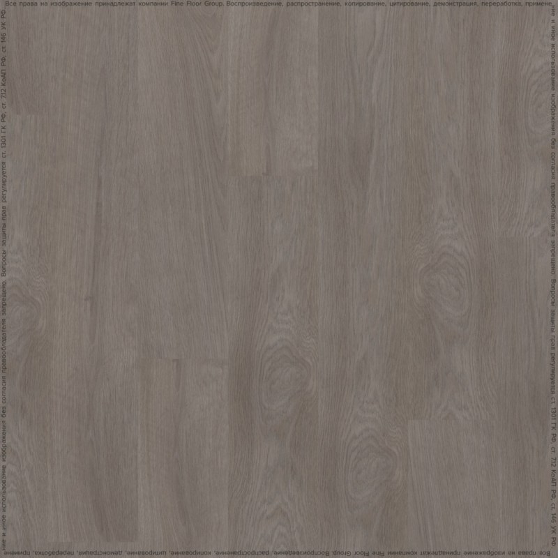 adelar_eterna_05933_2