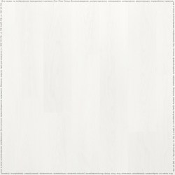 adelar_solida_03121_2