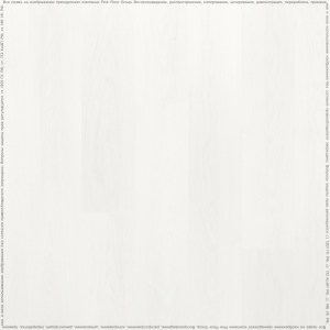 adelar_solida_03121_2