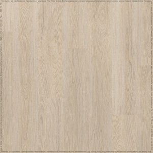 adelar_solida_03220_2