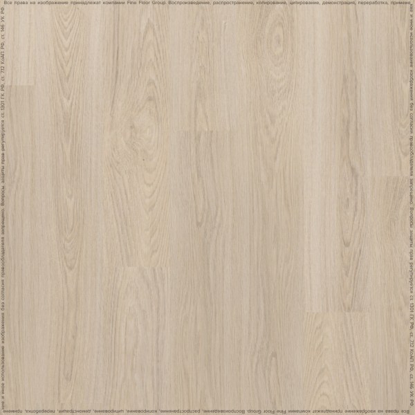 adelar_solida_03220_2