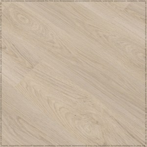 adelar_solida_03220_3