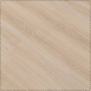 adelar_solida_03239_3