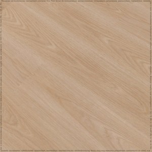 adelar_solida_03254_3