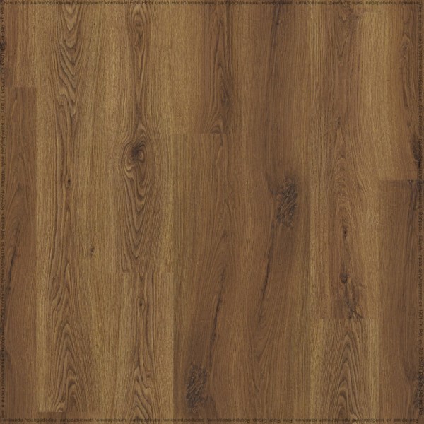 adelar_solida_03866_2