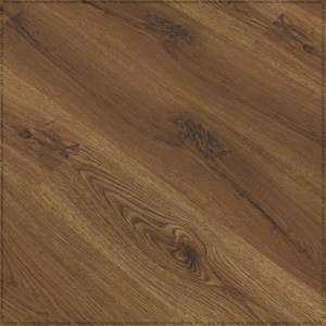 adelar_solida_03866_3