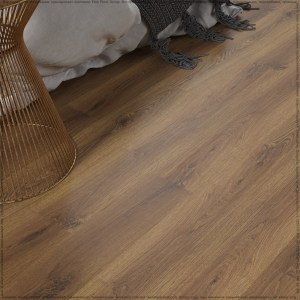 adelar_solida_03866_4