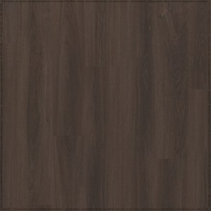 adelar_solida_03884_2