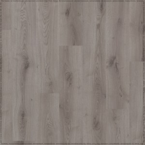 adelar_solida_03935_2