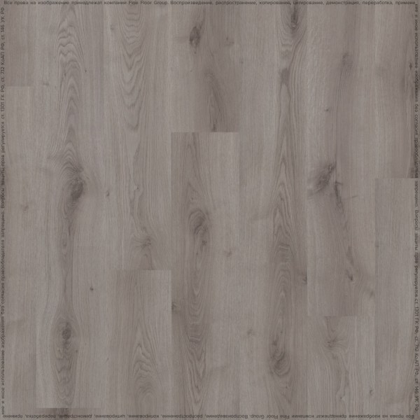 adelar_solida_03935_2