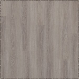 adelar_solida_03952_2