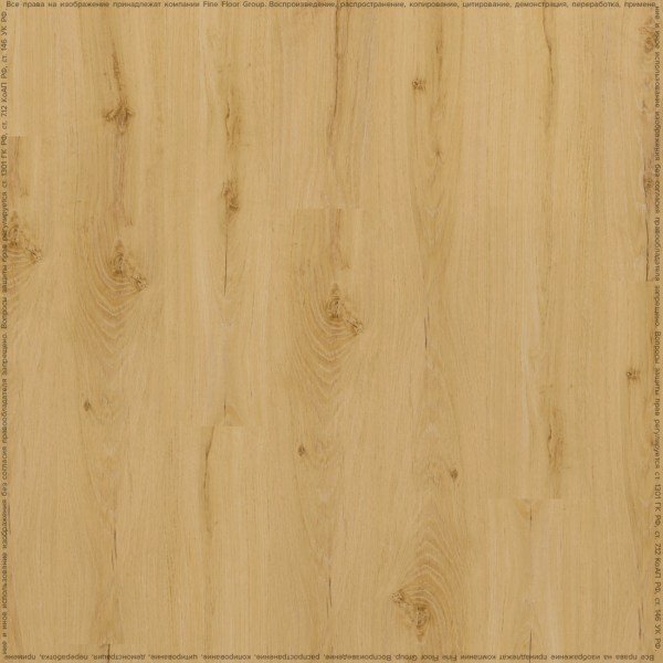 adelar_solida_04270_2