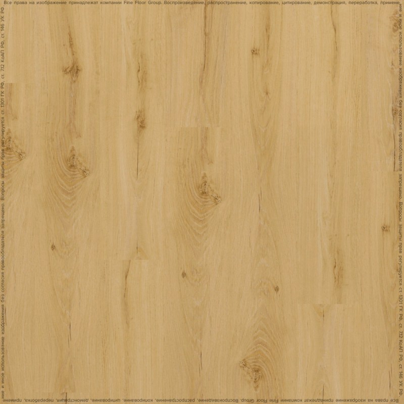 adelar_solida_04270_2