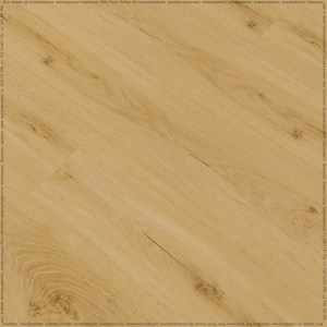 adelar_solida_04270_3