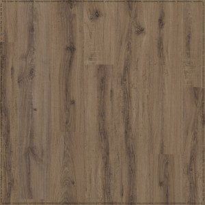 adelar_solida_04870_2