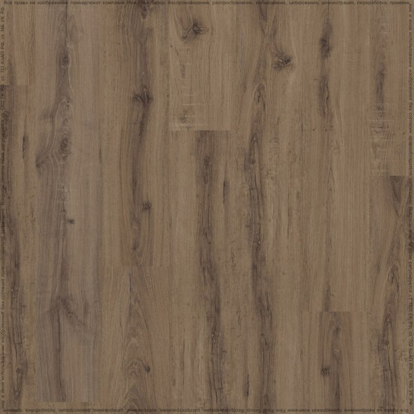 adelar_solida_04870_2