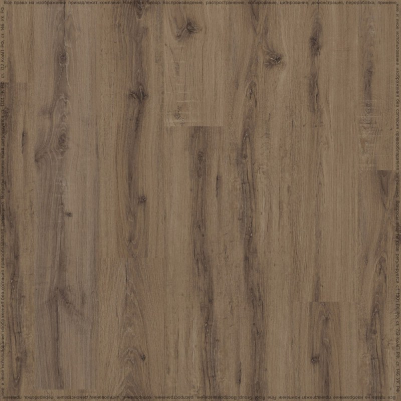 adelar_solida_04870_2