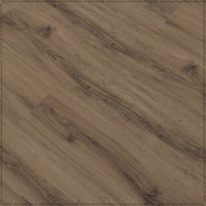 adelar_solida_04870_3