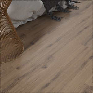 adelar_solida_04870_4