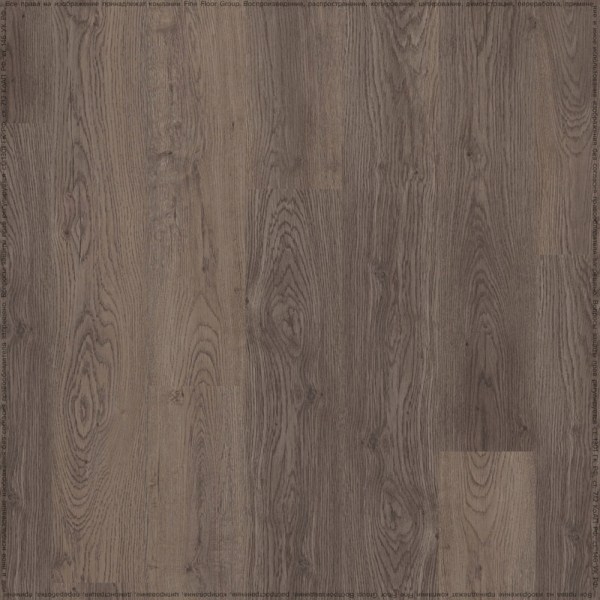 adelar_solida_04880_2